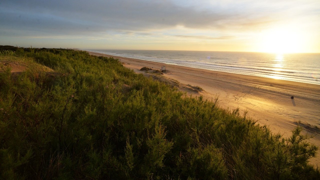 Vista de Mar de las Pampas entre el bosque y el mar
