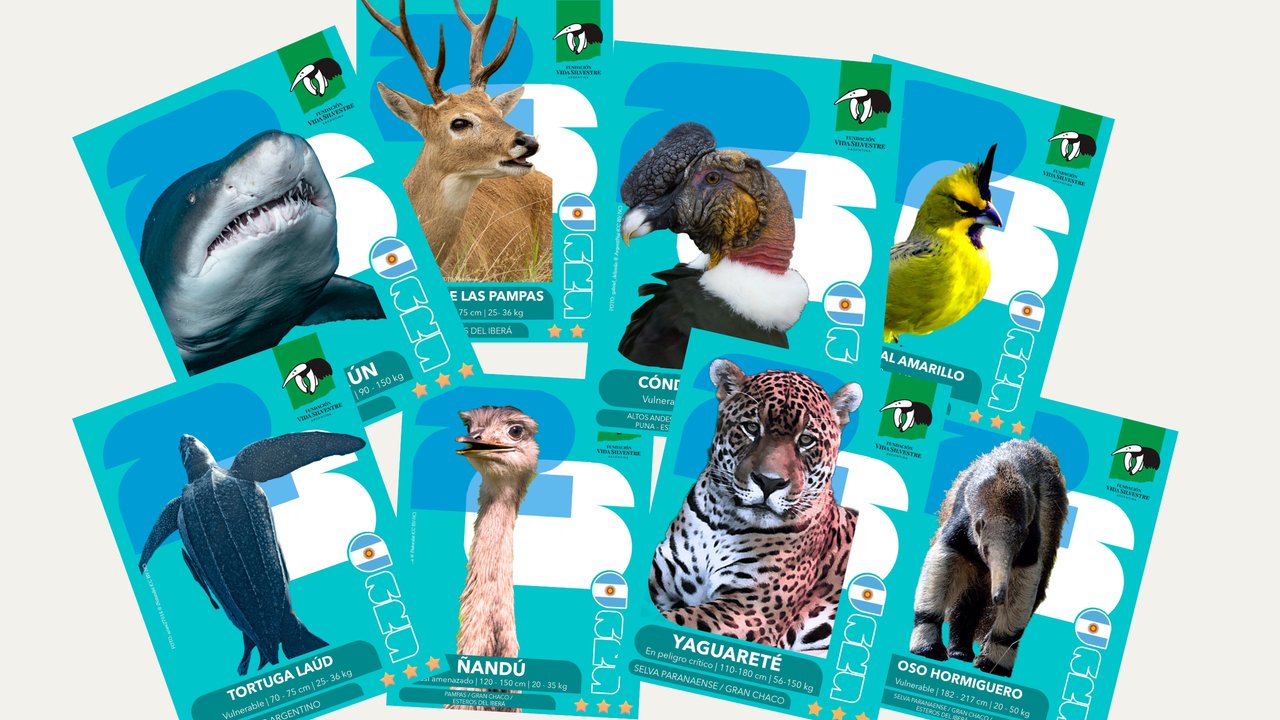 Los animales tienen sus propias figuritas del Mundial 2026