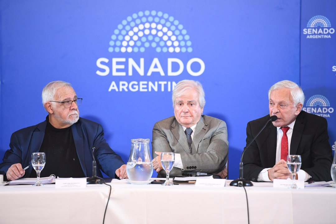 Audiencia pública en el Senado por el camarista Víctor Pesino