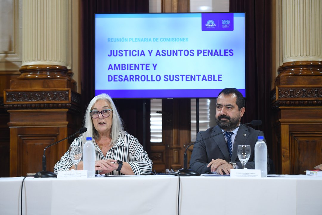El Senado avanzó con un proyecto para penalizar con prisión delitos ambientales graves