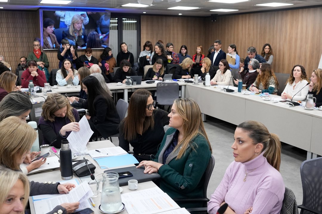 La oposición firmó un dictamen para declarar la emergencia nacional en violencia de género
