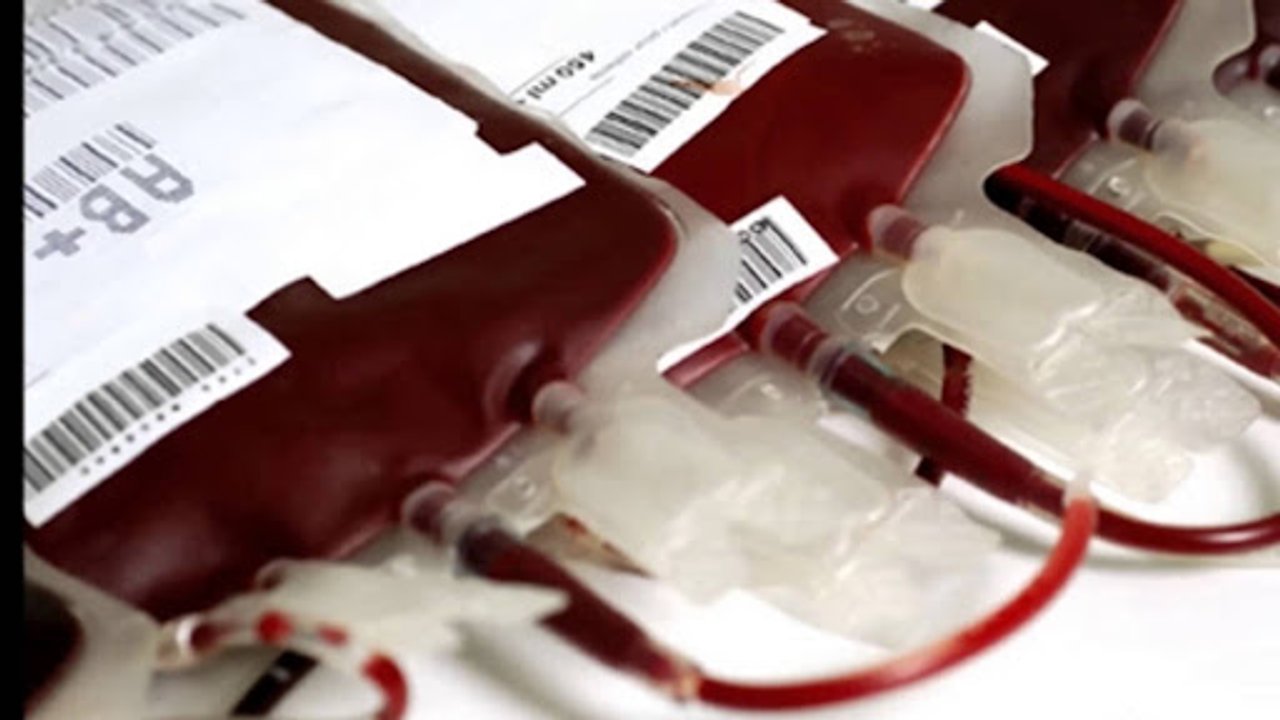 La modernización del Sistema Nacional de Sangre transforma la donación en Argentina