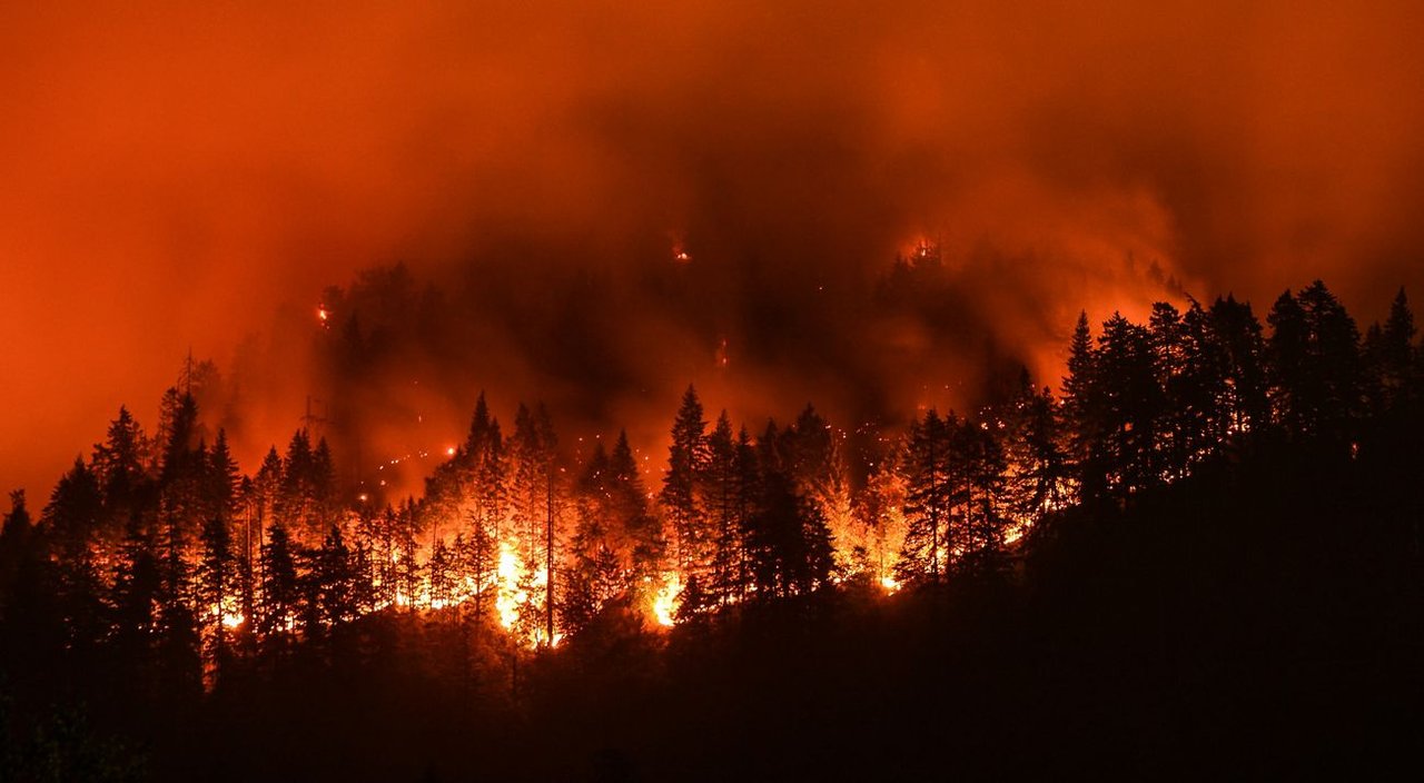 California: un incendio forestal arrasó más de 800 hectáreas