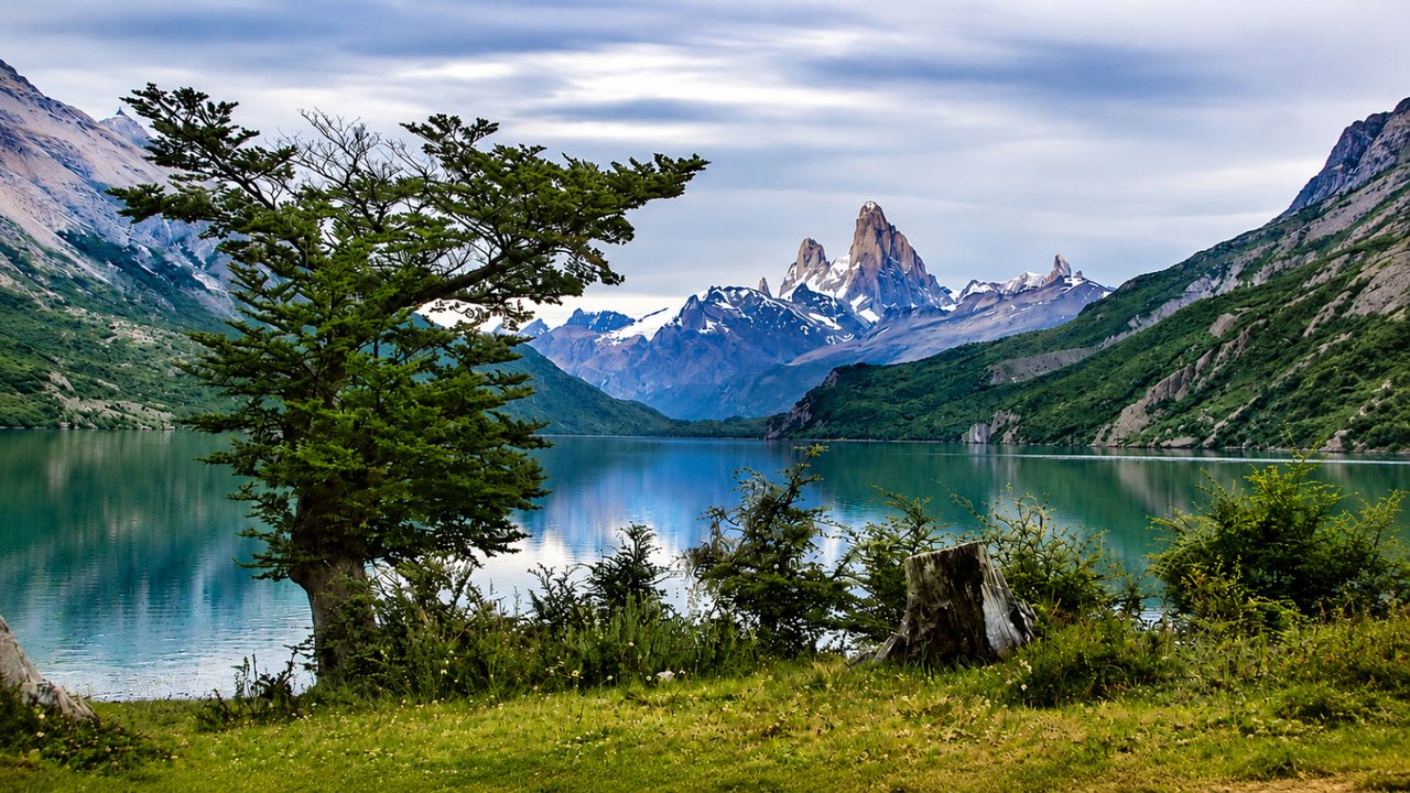 Sendero al Glaciar Vespignani sobre el Lago del Desierto
