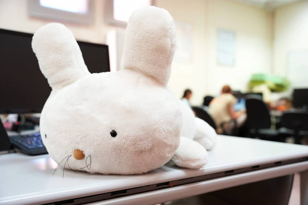 Crean un conejo robot para acompañar a personas mayores: las reconoce por su voz