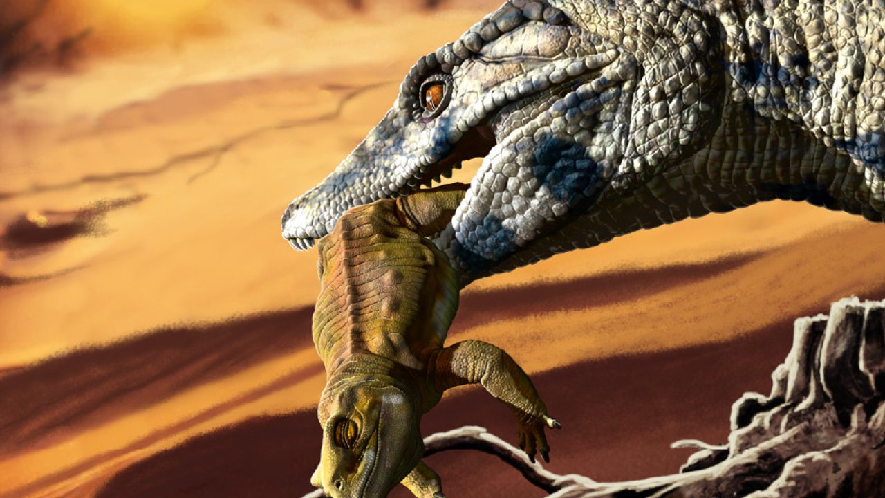 Río Negro: descubren una nueva especie de cocodrilo terrestre de hace más de 100 millones de años