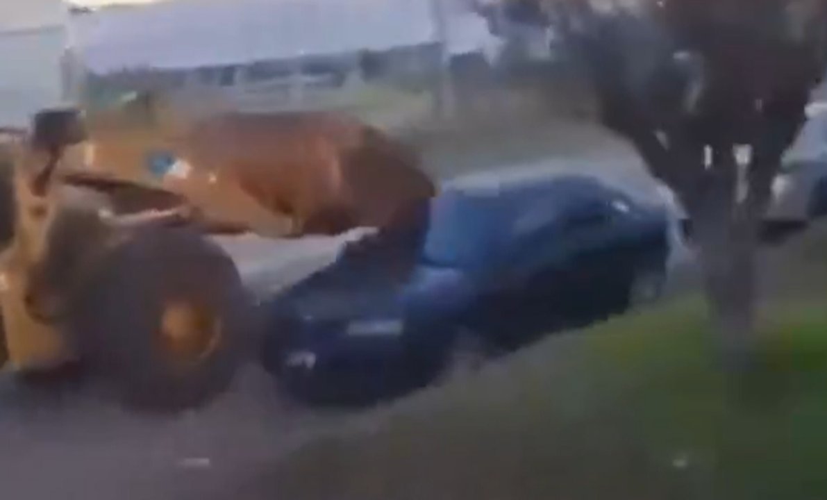 Un hombre borracho al volante de una retroexcavadora causa caos en Concordia