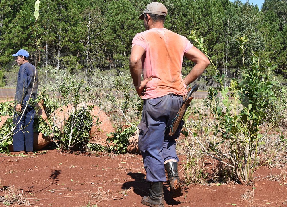Misiones: productores pidieron la renuncia del titular del INYM
