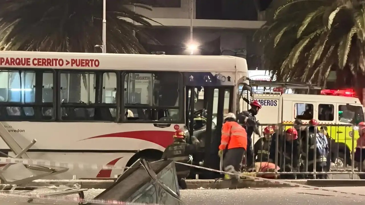 Declaró el chofer del colectivo que atropelló y mató a una joven en Mar del Plata: “No pude hacer nada”