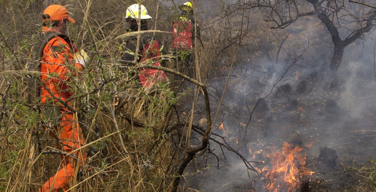 La fiscal Rojas busca a los responsables de los incendios en Cafayate