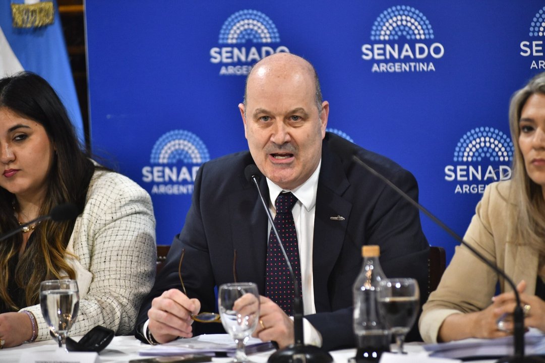 Sturzenegger defendió en el Senado la modernización societaria para atraer empresas digitales