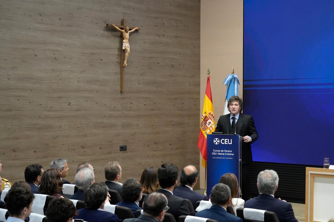 Javier Milei durante una entrevista periodística