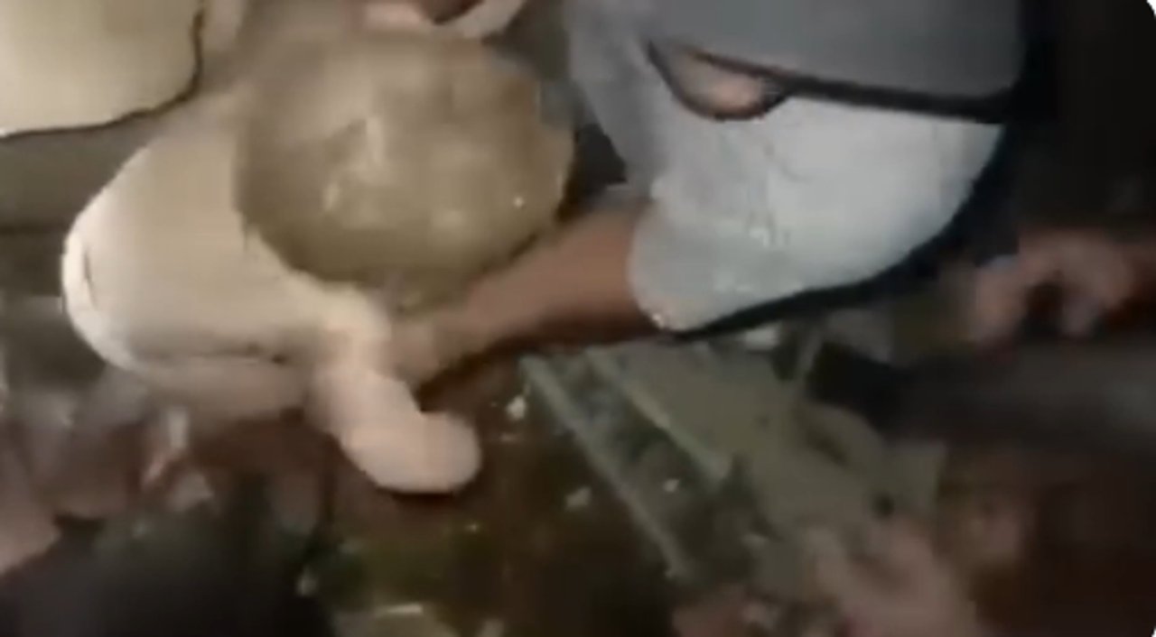 Rescate de un bebé entre los escombros tras el terremoto en Venezuela