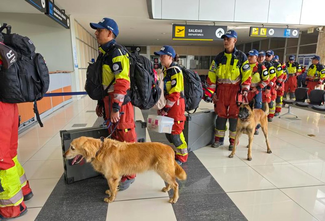 Perros rescatistas tienen un papel protagónico tras los sismos en Venezuela