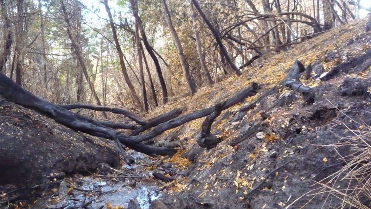 Arroyo patagónico afectado por incendios forestales