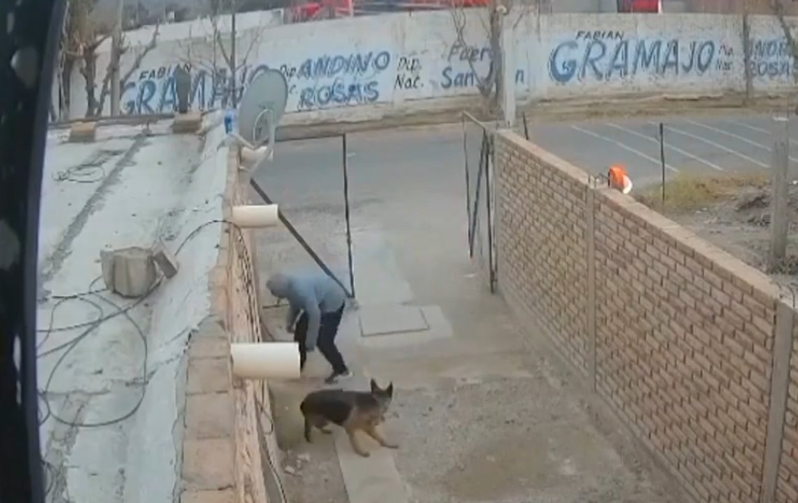 Captura del video del robo de una bicicleta en Chimbas, San Juan