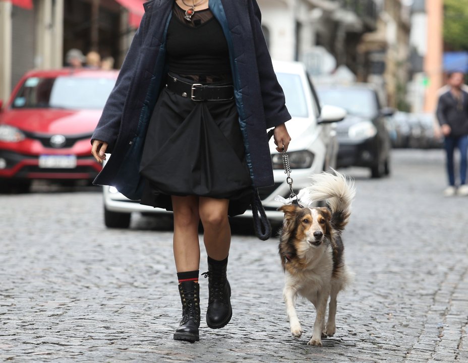 Río Negro: investigan a un hombre por dispararle al perro de un vecino
