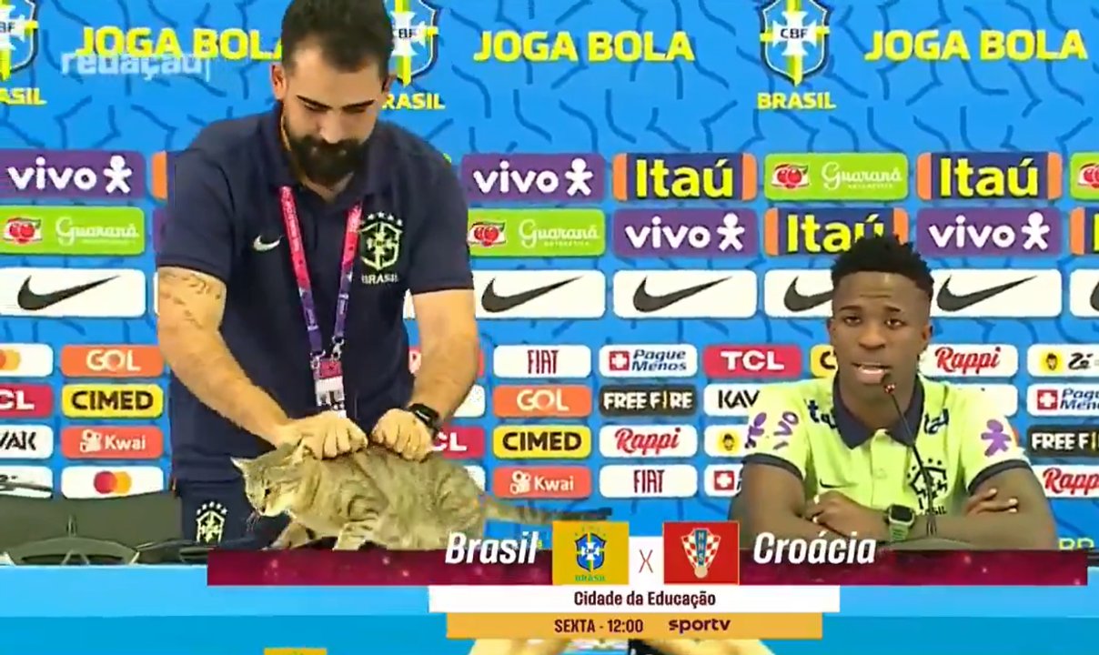 La “maldición del gato” volvió a golpear a Brasil tras otro fracaso histórico