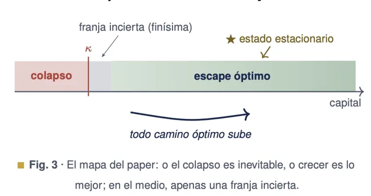 Milei y Reidel publicaron un paper que busca dar sustento teórico al programa económico del gobierno