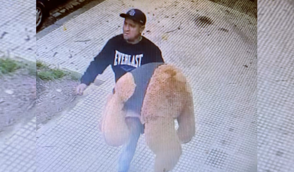 Insólito: rompió el vidrio de un auto para robarse un oso de peluche en Saavedra
