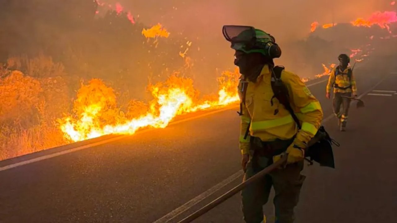 Viento Zonda en Jujuy: ráfagas inéditas en 30 años causaron destrozos e incendios