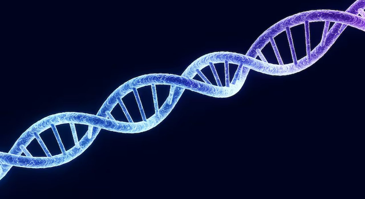 La ciencia desarma prejuicios y revela un ADN argentino con raíces en cuatro continentes