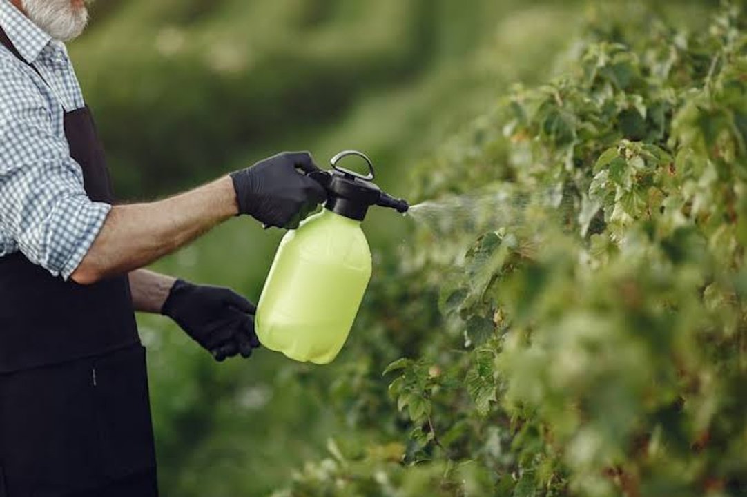 Productos de limpieza e insecticidas de la marca Clean Lab retirados del mercado