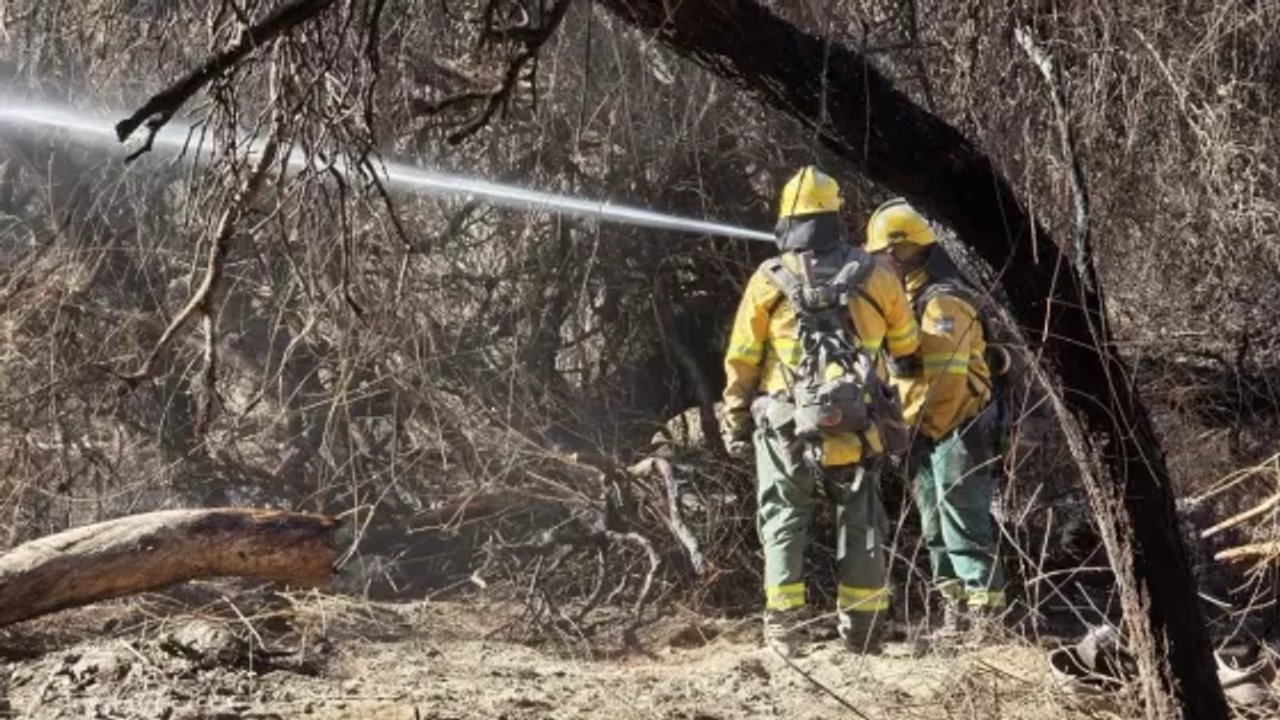 Zona de Cafayate afectada por incendios forestales