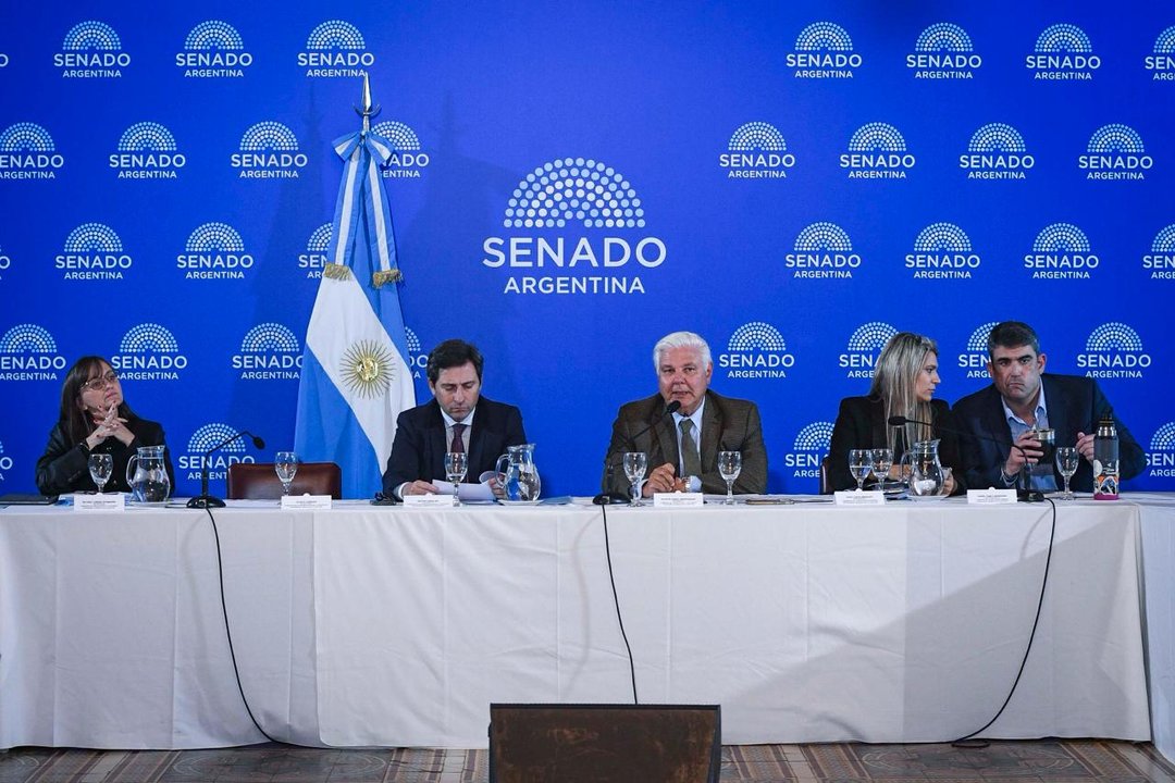 Súper RIGI: el Senado convoca a funcionarios para explicar incentivos a nuevas industrias