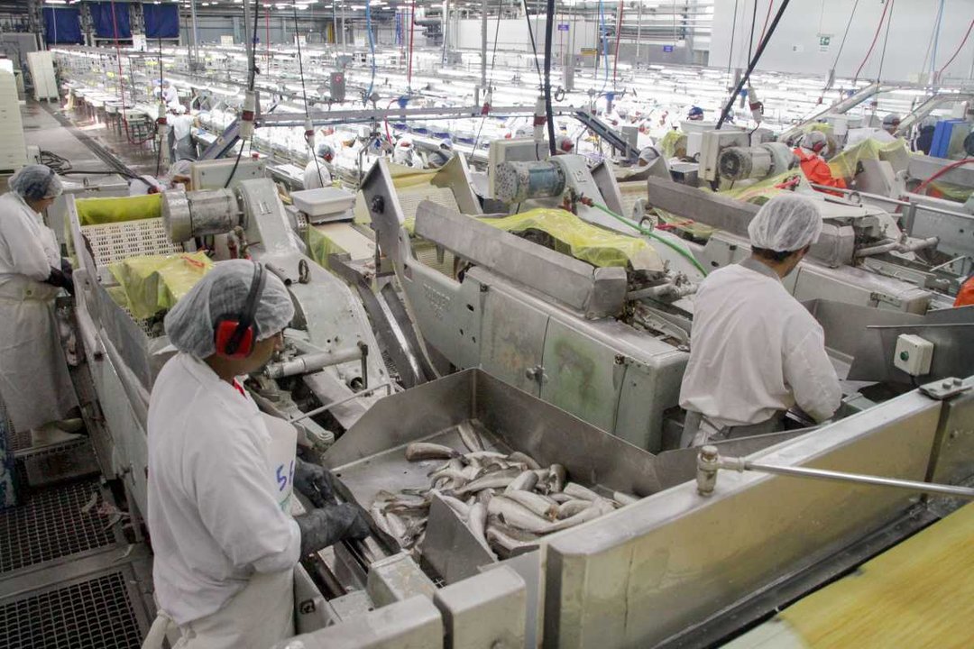 En junio la producción de la industria pesquera se disparó casi 233%