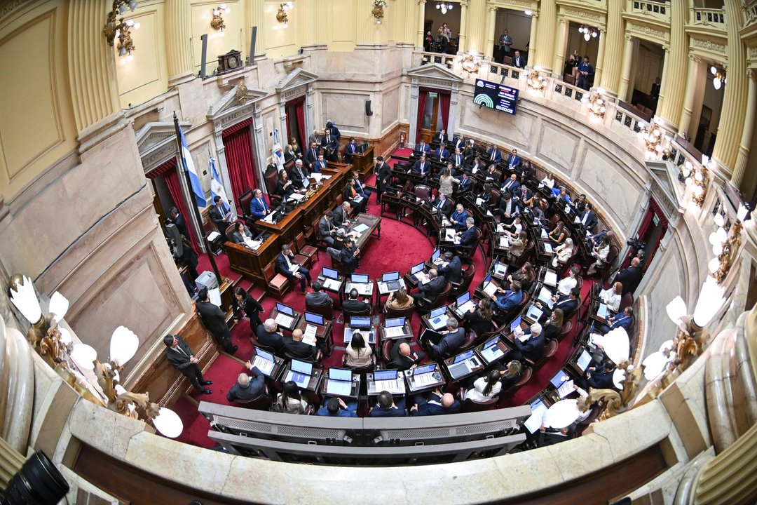 El Gobierno reconoce fallas en la comunicación tras media sanción de la Ley de Propiedad Privada