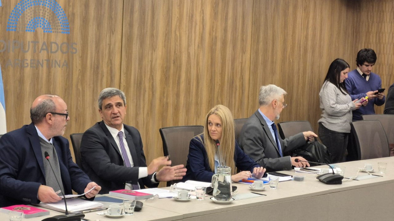 Diputados avanzan con la Ley Joaquín sobre seguridad en prácticas deportivas