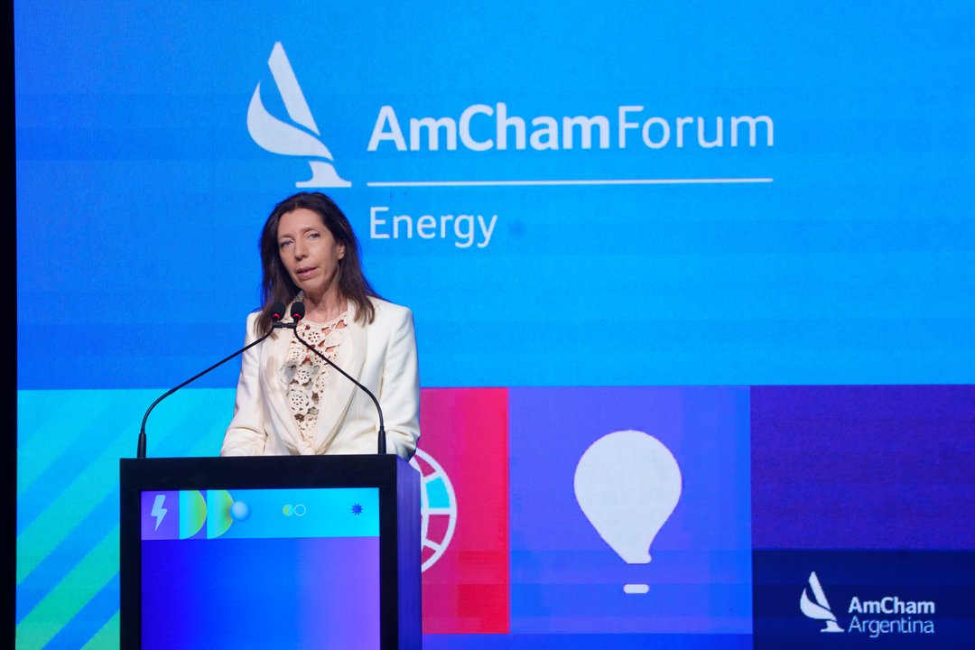 Mariana Schoua en el AmCham Energy Forum analizando el futuro energético argentino