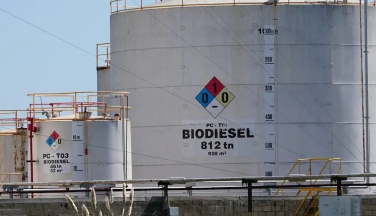 Planta de biodiésel y producción de biocombustibles en Argentina