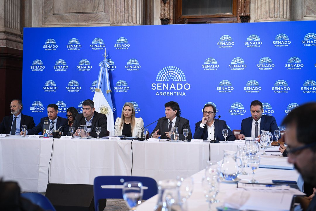 Debate en el Senado sobre reforma de la Ley de Sociedades