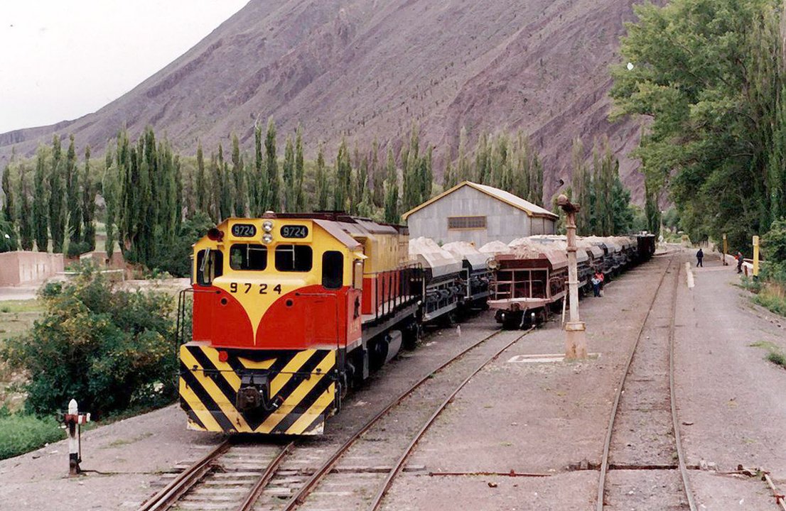 Formación de carga del ferrocarril Belgrano en plena circulación