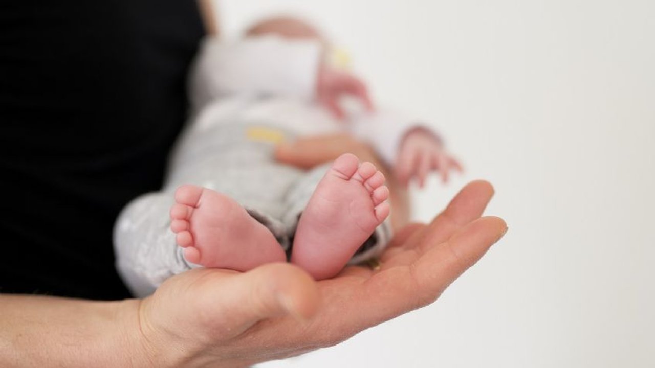 Especialista cruzó a Milei y desmintió que el aborto cause la baja de natalidad