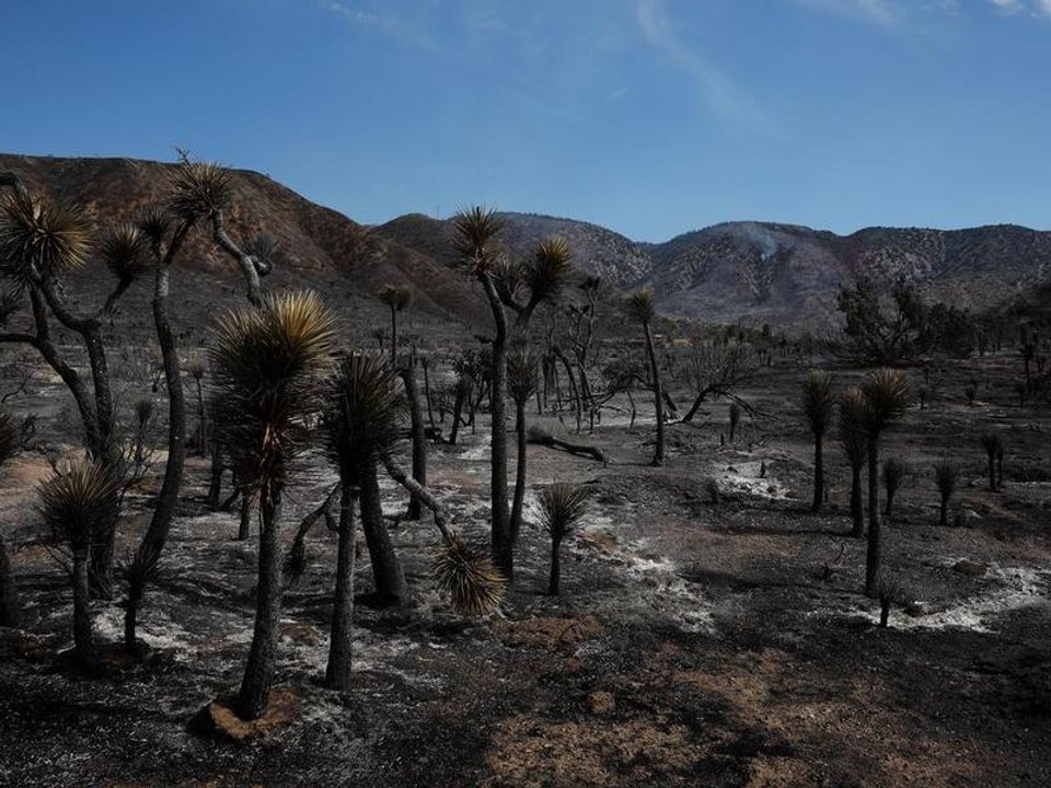 Estados Unidos: incendio forestal dejaba heridos y 42.000 evacuados cerca de frontera Nevada-California