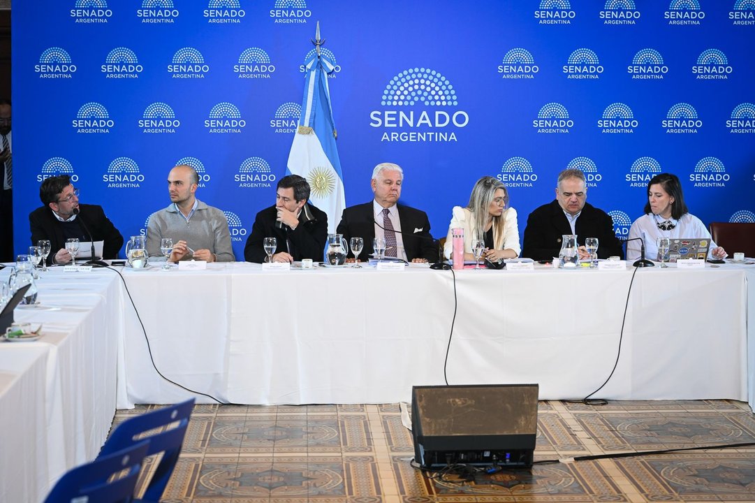 Senado: LLA quiere emitir dictamen del Súper RIGI, pero los aliados reclaman cambios para dar su apoyo