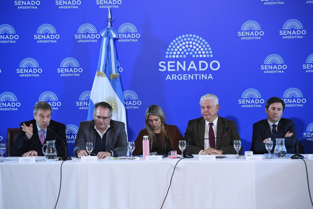 Super Rigi: La Libertad Avanza acepta modificar el texto  y la iniciativa deberá volver a Diputados