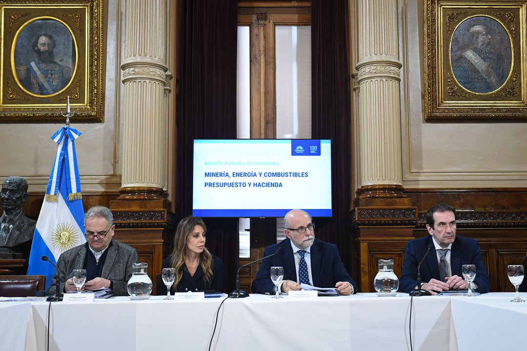 El Senado debate la reforma de biocombustibles: los nuevos obstáculos para LLA