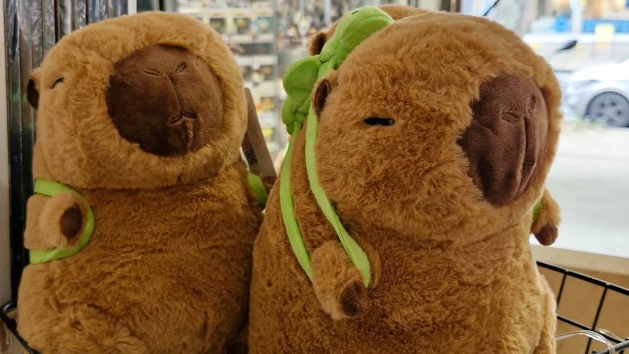 Una mujer trasladaba 4 kilos de cocaína dentro de carpinchos de peluche: el detalle que la delató