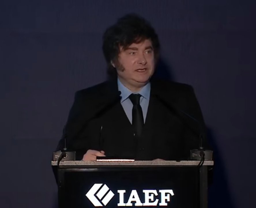 Javier Milei durante su exposición en un evento empresario en Misiones