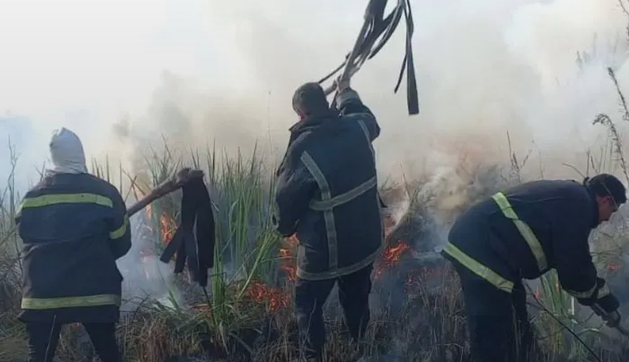 Passalacqua bajo alerta: casi 80 hectáreas ardieron en cinco puntos de Misiones