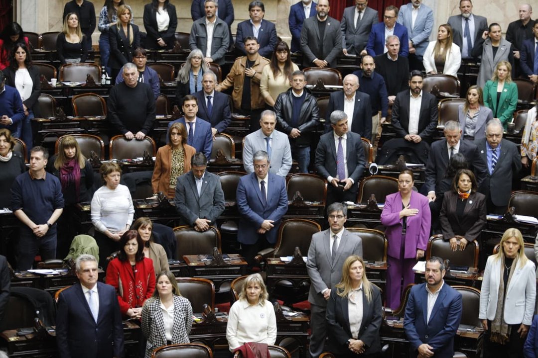 Diputados: la oposición logró aprobar sin sobresaltos su plan de trabajo sobre emergencia en Discapacidad y morosidad