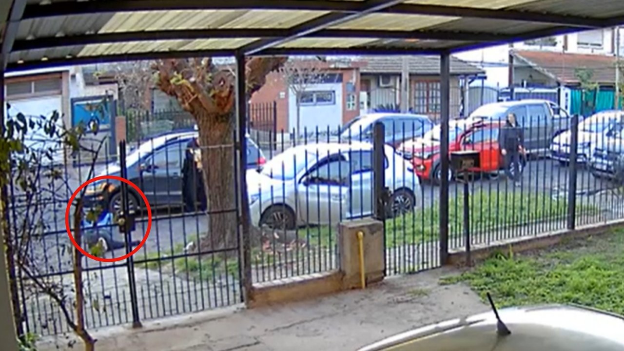 Robo, tiros y pánico en la puerta de una escuela en El Palomar: un herido