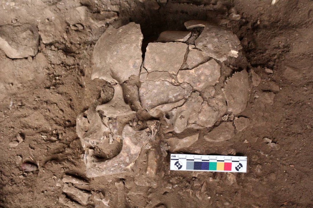 Representación artística de humanos prehistóricos consumiendo nuez de areca