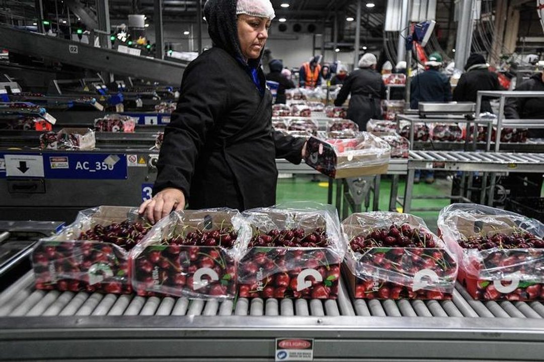 Chile destaca entrada en vigor de acuerdo que facilita exportación de fruta fresca a China