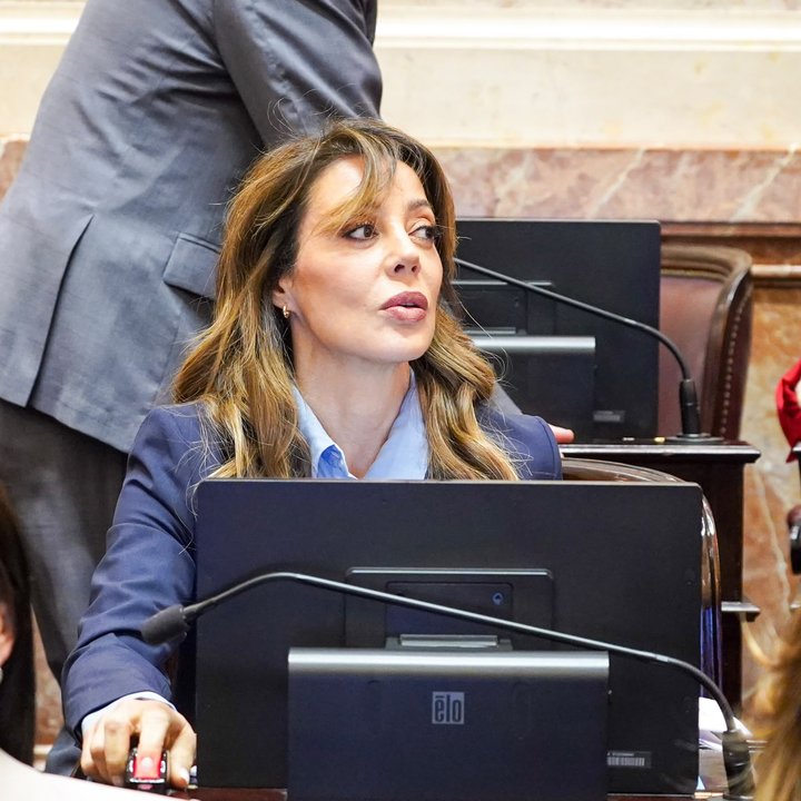 El Senado debate el aumento de cortes obligatorios de biocombustibles