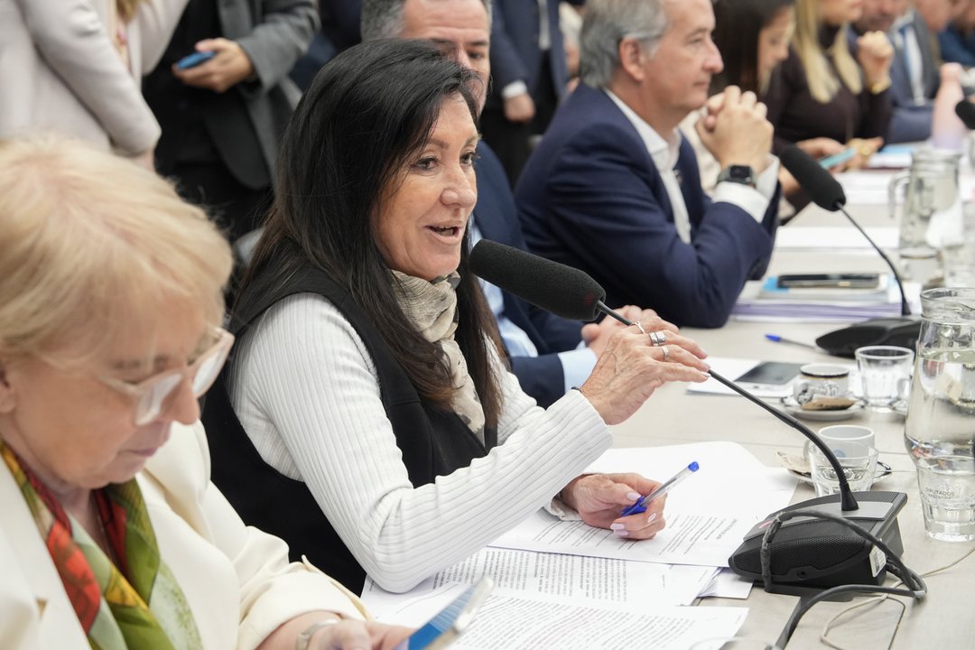 El oficialismo avanza con un nuevo proyecto de discapacidad en Diputados